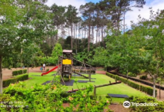 Parque Florestal de Sao Joao景点图片