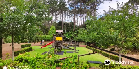 Parque Florestal de Sao Joao