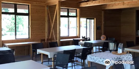 Yamandon ukinono fruit picking