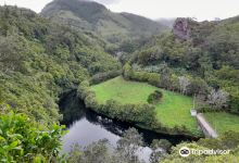 Reserva Florestal de Recreio Luis Paulo Camacho景点图片