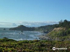 Otter Point State Recreation Site-寇里县