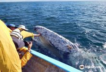Ecoturismo Kuyima景点图片