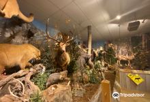 Yellowstone Trading Post购物图片