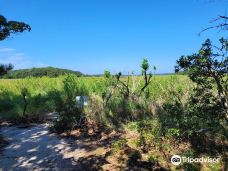 Wellfleet Bay Wildlife Sanctuary-韦尔弗利特