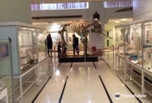 The Cole Museum of Zoology景点图片