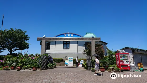 關崎海星館