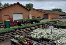 Kurzhals' Farms购物图片