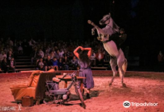 Haras National de Cluny景点图片