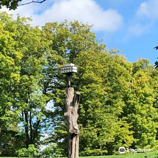 Timber Ridge Golf Course