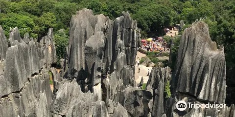 鐘靈山森林公園