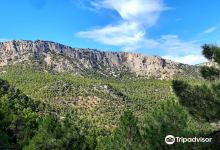 Sierra Espuna Regional Park景点图片