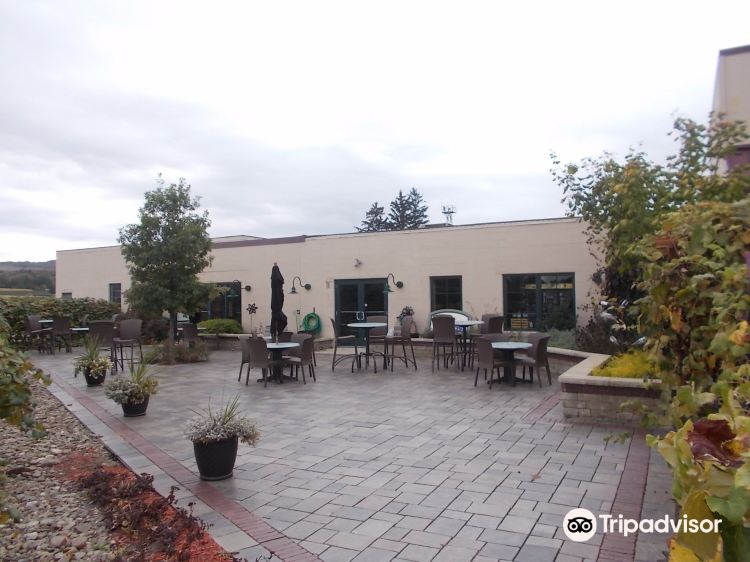 韦斯特菲尔德grape discovery center游玩攻略-grape discovery c