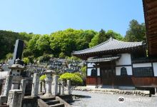 Shoryu-ji Temple景点图片
