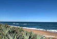 Gamble Rogers State Park景点图片