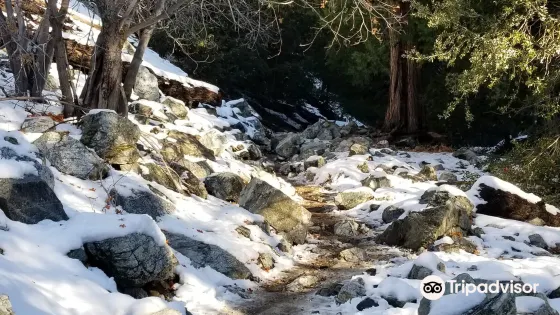 Ice House Canyon Trail