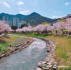 Jangyu Daecheong Valley-金海市