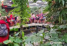 Butterfly World and Fountain World景点图片
