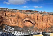 Navajo National Monument景点图片