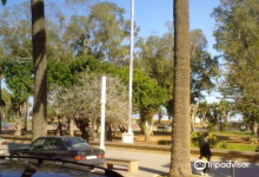 Jardin Mohammed V景点图片