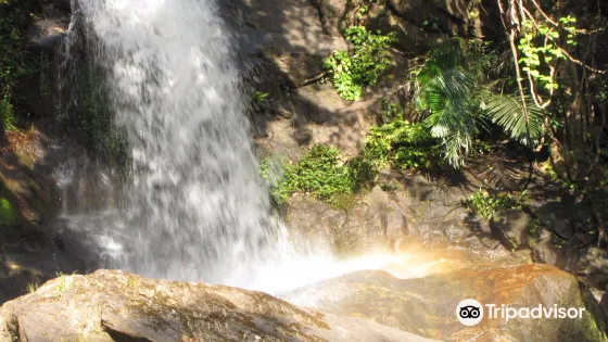 Meenvallam Water Falls