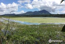 Marayag Lake景点图片