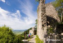 Burgruine Alt-Ems景点图片