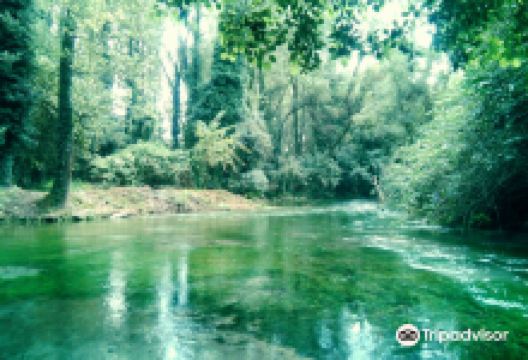 Terme Varroniane景点图片