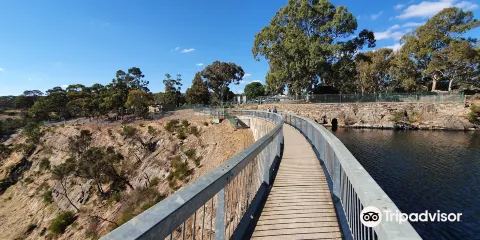 威廉斯城的回音牆