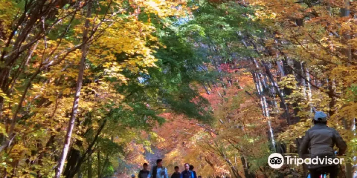 俗離山國立公園