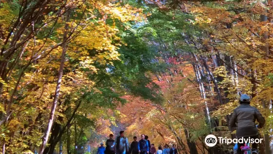 俗離山國立公園