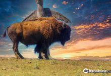 La Ferme Aux Bisons景点图片