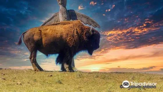 La Ferme Aux Bisons