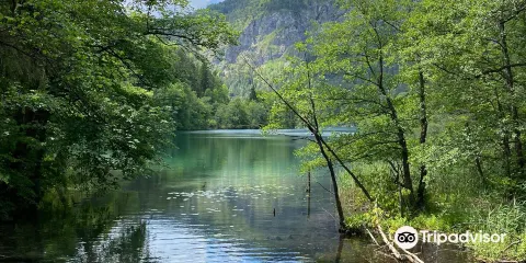 Thumsee