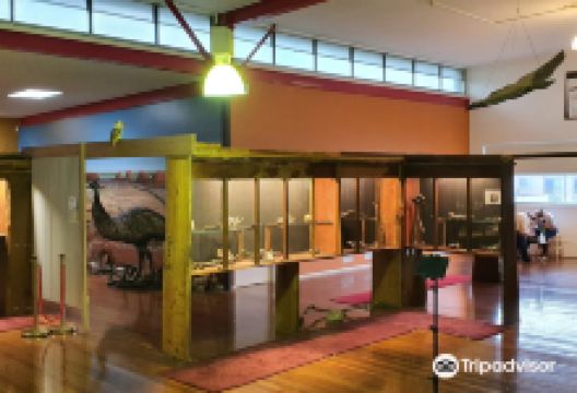 Brisbane Opal Museum景点图片