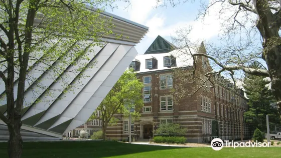 伊萊和伊迪特·布羅德美術館