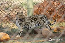 Predator World-Bojanala