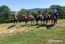 Pond Hill Ranch and Pro Rodeo景点图片