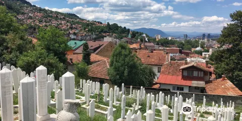 Alifakovac Cemetery