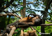 SIBU Wildlife Sanctuary景点图片