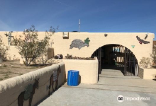 Desert Discovery Center景点图片