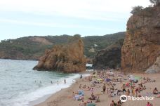 L'illa Roja-巴古尔