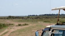 Dream Kenya Safaris-迪亚尼海滩
