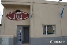 Museo Regional Carlos Borgialli景点图片