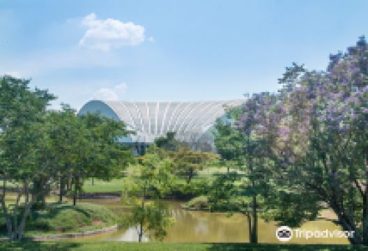 Estancia Arvore da Vida景点图片