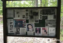 Patsy Cline Memorial景点图片