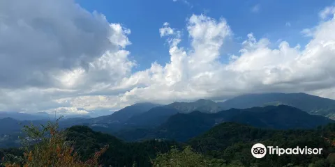 八重山五感の森