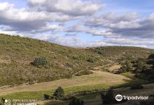 Parque Natural Hayedo de Tejera Negra景点图片