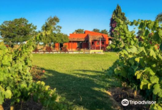 Bodega Boutique El Legado景点图片