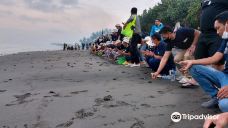 Kurma Asih Sea Turtle Conservation Center-巴厘岛