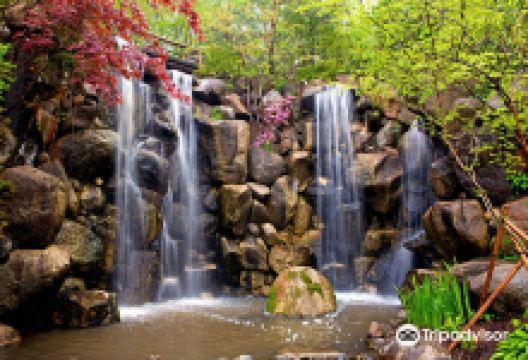 Anderson Japanese Gardens景点图片